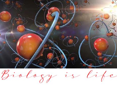 Printable-Biology is Life 10 [PDF]