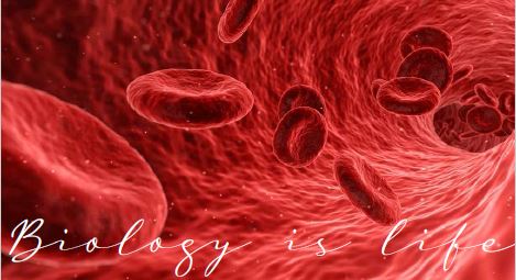 Printable-Biology is Life 11 [PDF]