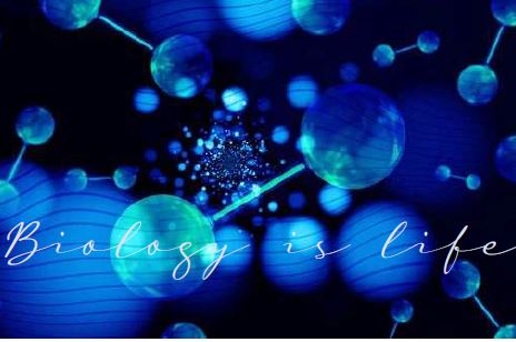 Printable-Biology is Life 14 [PDF]