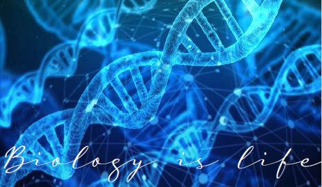 Printable-Biology is Life 15 [PDF]