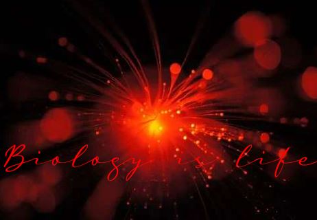 Printable-Biology is Life 16 [PDF]