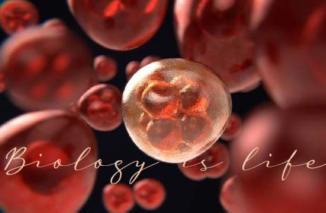 Printable-Biology is Life 19 [PDF]