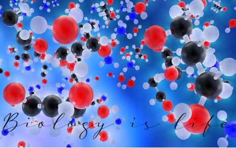 Printable-Biology is Life 20 [PDF]