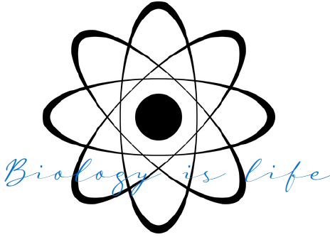 Printable-Biology is Life 21 [PDF]