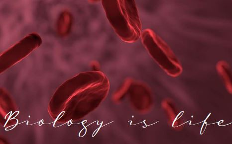 Printable-Biology is Life 22 [PDF]