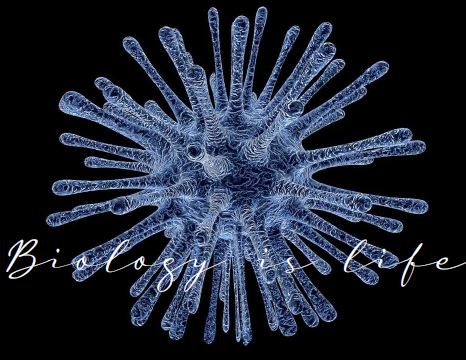 Printable-Biology is Life 24 [PDF]