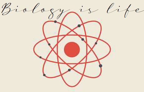 Printable-Biology is Life 6 [PDF]