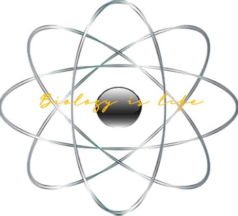 Printable-Biology is Life [PDF]