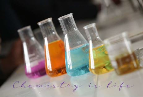 Printable-Chemistry is Life [PDF]
