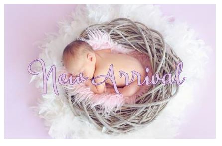 Printable-New Arrival Boy Purple [Post Card Size /PDF]