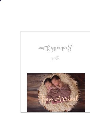 Printable-Baby New Arrival Twins [Small Tent Cards/PDF]